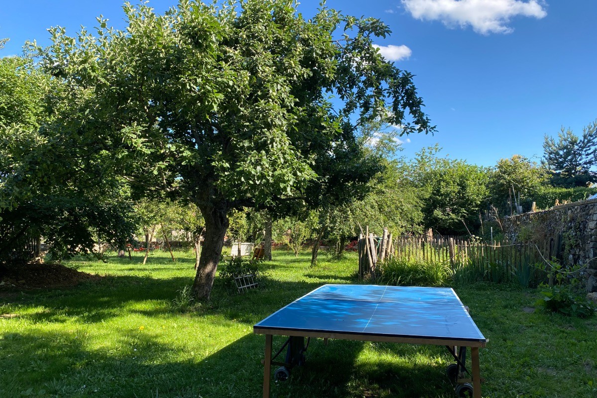 table de ping-pong