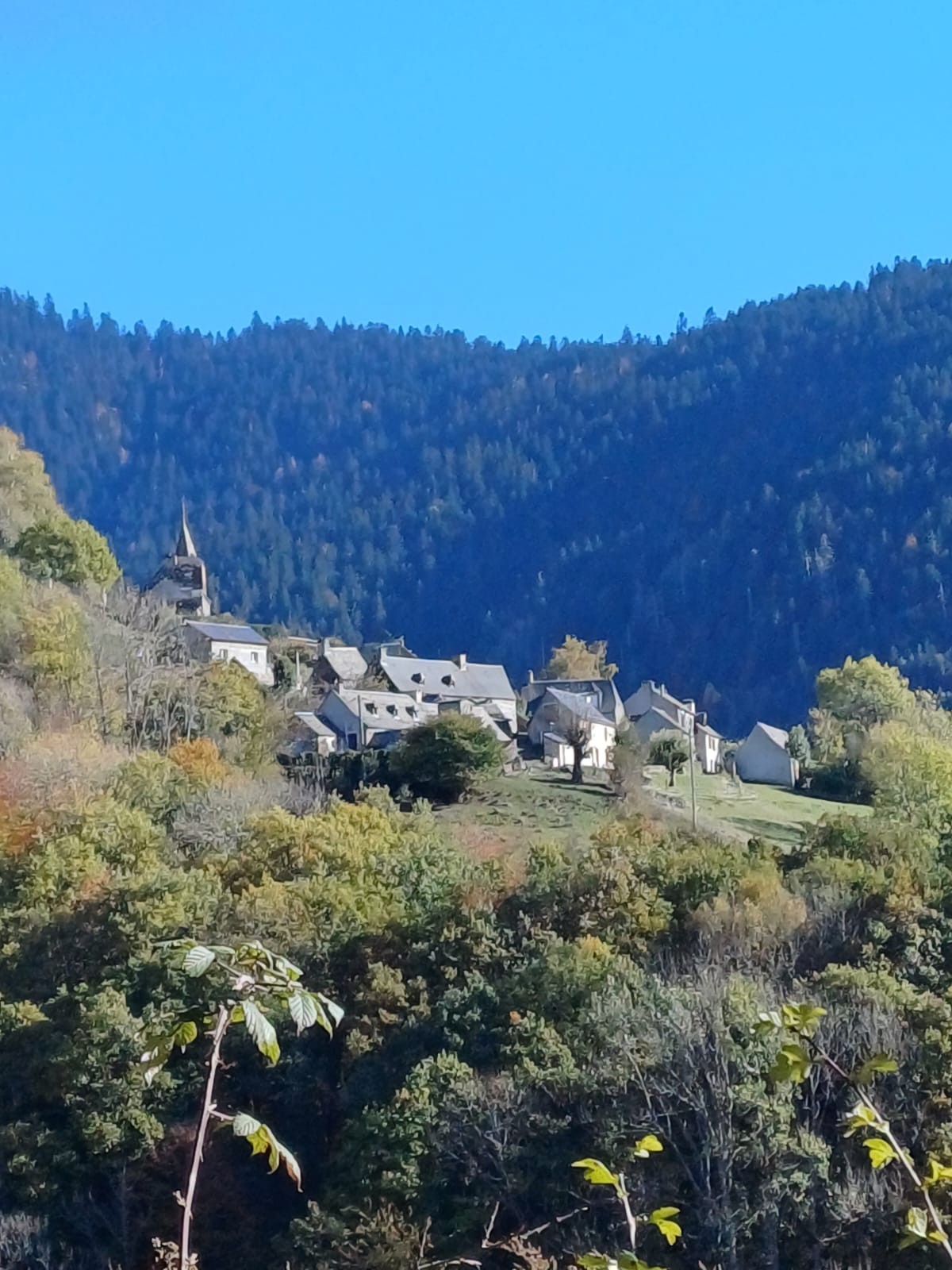 Photo n° 1 de la location