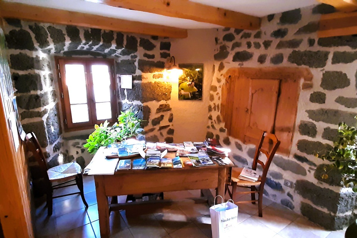 Pièce commune avec TV à écran plat, cheminée d'antan, coin cuisine, ...