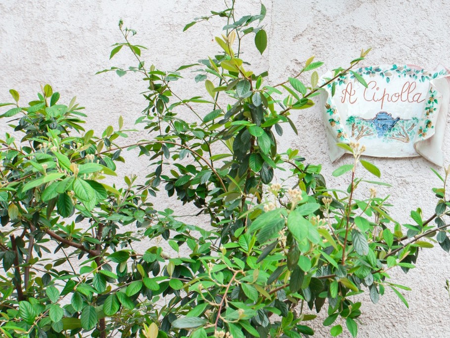 Photo n° 10 de la location